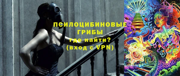 apvp Лиски