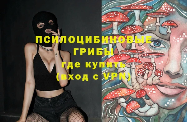 мдпв Арсеньев