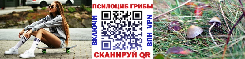 Псилоцибиновые грибы Cubensis  blacksprut ONION  Алатырь 